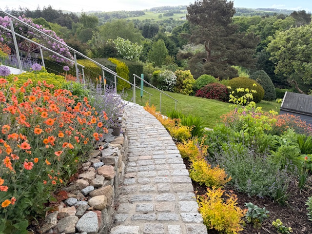 Terraced back garden in Cults with stone steps, colourful flower borders, and manicured lawn designed by Gerbera Designs